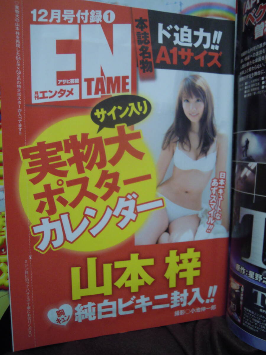 X-10 雑誌 アサヒ芸能 月刊エンタメ ２００９年１２月 付録付き 山本梓 手島優 秋山莉奈 西田麻衣 磯山さやかの画像4