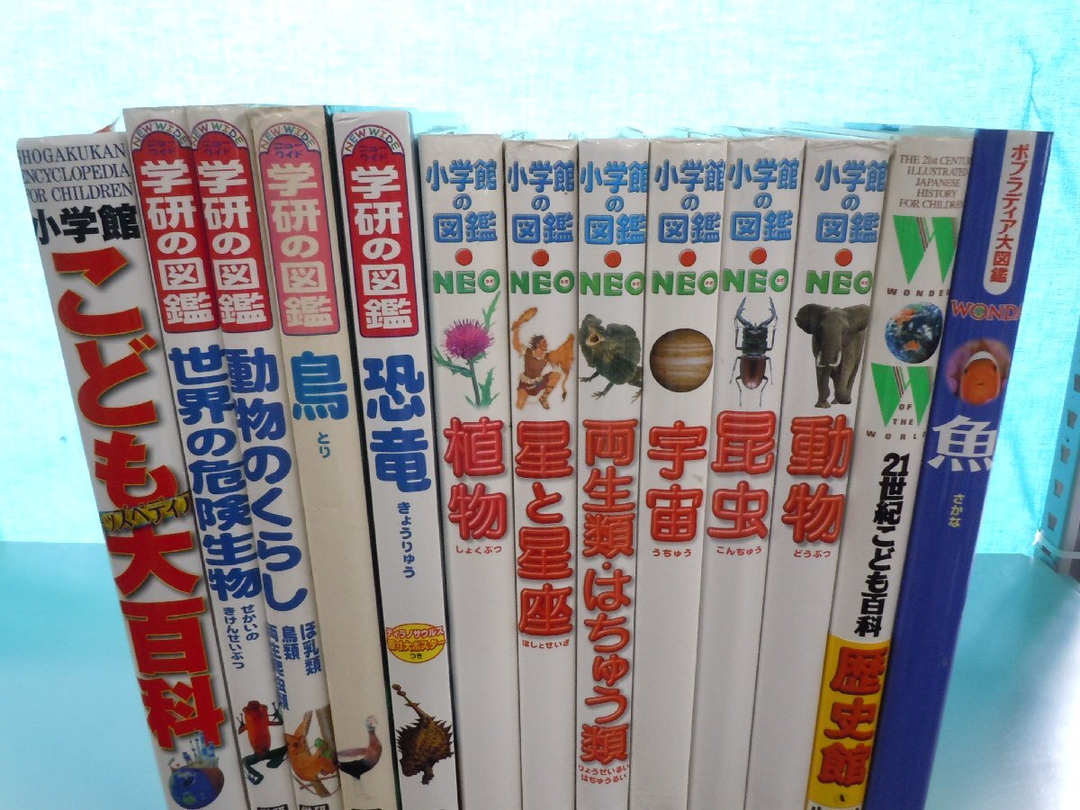 【図鑑】《まとめて13点セット》小学館の図鑑NEO/学研の図鑑/世界の危険生物/昆虫/恐竜/動物/星と星座/両生類・はちゅう類 他の画像1