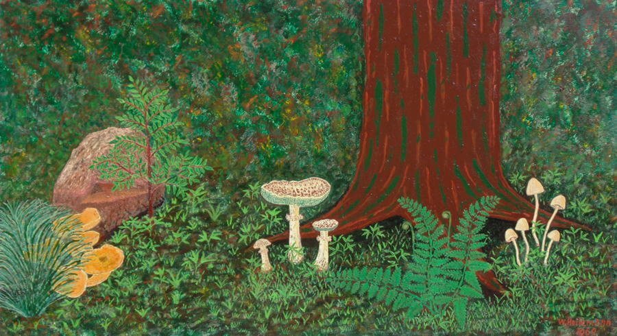 1969年作『quiet place in the forest』20号 W.Heilemann ナイーフアート※真作保証致しますが、作家プロフ不詳のため成行き売切り_画像2