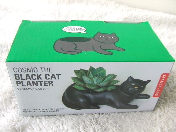 新品☆kikkerland☆黒猫プランターCosmo The Black Cat Planter 陶磁器ブラックキャット陶器セラミック植木鉢カバー寄せ植えプランター猫_画像7