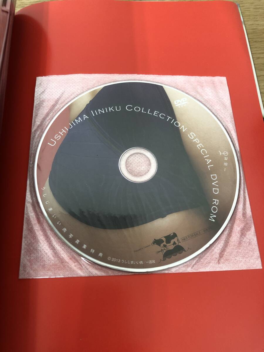 絶版 特典DVD付 うしじまいい肉 写真集 初版発行/帯付/コスプレ/Ushijima iiniku Collection/コレクション/A3_画像10
