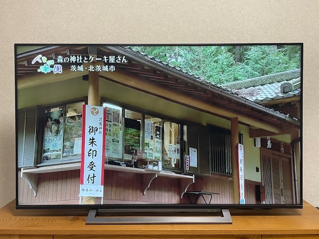 ☆　東芝　REGZA　レグザ　55型　液晶テレビ　55M530X　2020年式　4K　☆_画像1