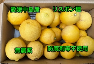 全国送料無料 レモン 箱込み2.5kg 無農薬 防腐剤 防カビ剤 ワックス不使用 愛媛中島産の画像1