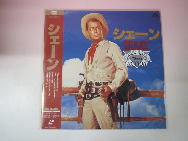 67628■未開封品　ＬＤ　シェーン SHANE　_画像1