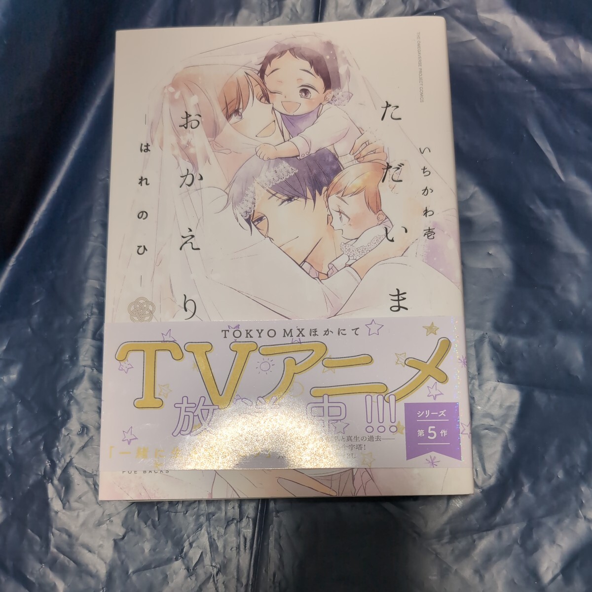 ただいま、おかえり　はれのひ　いちかわ壱　４月新刊