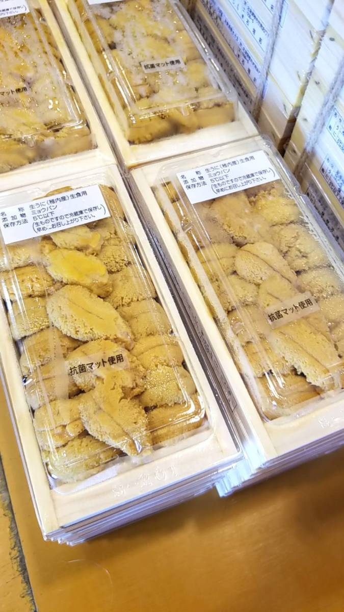 【北海北の味】最高峰極上　初物！稚内産　蝦夷ムラサキウニ木折120ｇ入り×5枚セット　(日にち指定不可)_画像2