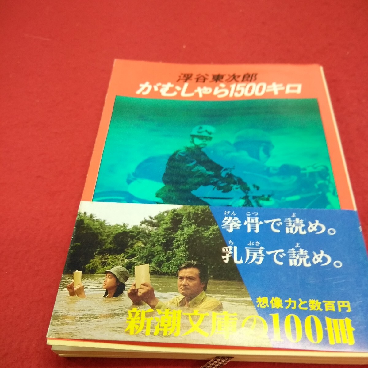 c-541 ※14 がむしゃら1500キロ 小説 日本作家浮谷東次郎 新潮社_画像1