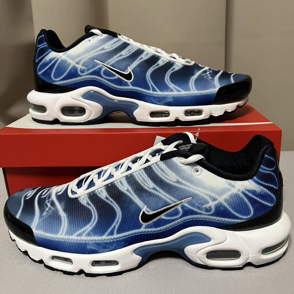 Nike AIR MAX PLUS 29cm ナイキ エアマックス プラス ライト フォトグラフィー オールド ブルー DZ3531-400