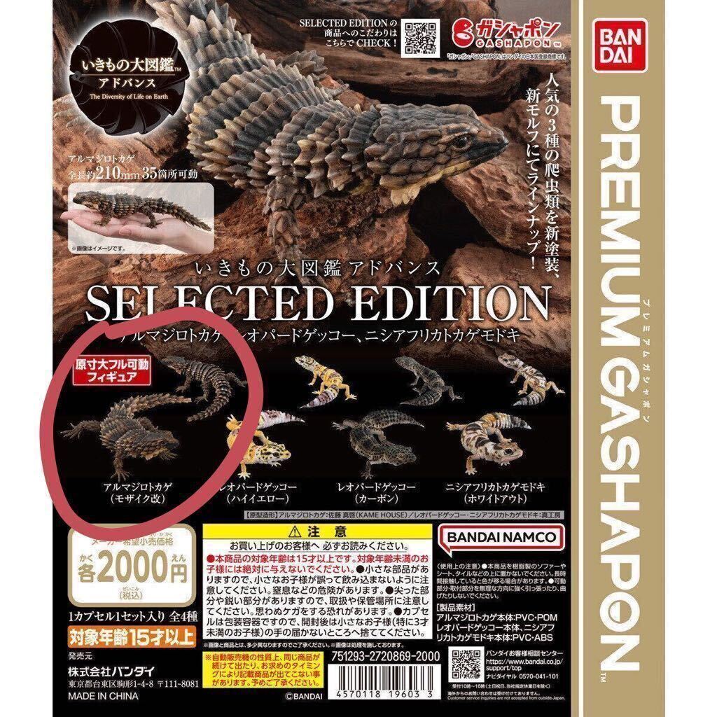 [. kimono large illustrated reference book advance SELECTED EDITION armadillo lizard (mo The ik modified )]