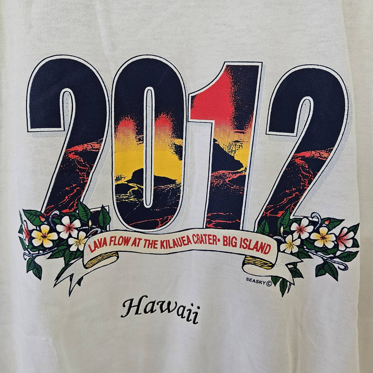 【外部-0747】(未使用品)FRUIT OF THE LOOM Tシャツ メンズ Mサイズ/着丈68cm/身幅50cm/白色/ホワイト/ハワイ(MS)_画像2