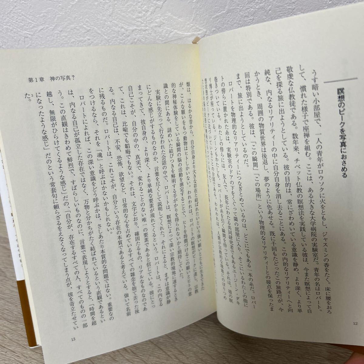 【初版　帯つき】　脳はいかにして〈神〉を見るか　宗教体験のブレイン・サイエンス アンドリュー・ニューバーグ_画像6