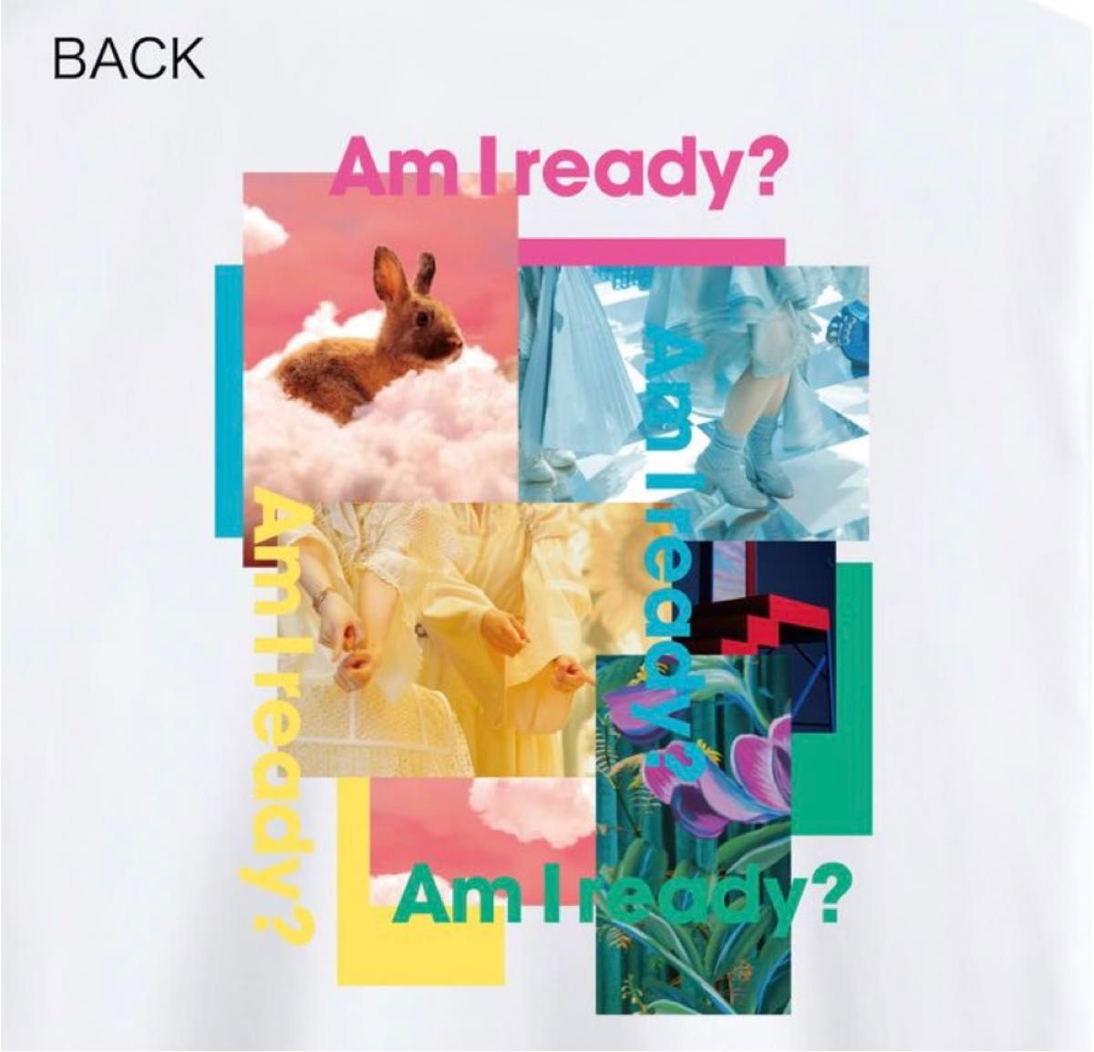 日向坂46 フォトロングスリーブTシャツ　Am I ready?