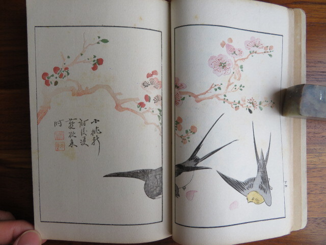 【木版彩色絵入】 芥子園毛花果譜 下冊　藝苑叢書　//和本唐本漢籍絵本絵手本信箋水印浮世絵多色摺中国美術東洋美術花鳥画芥子園画伝