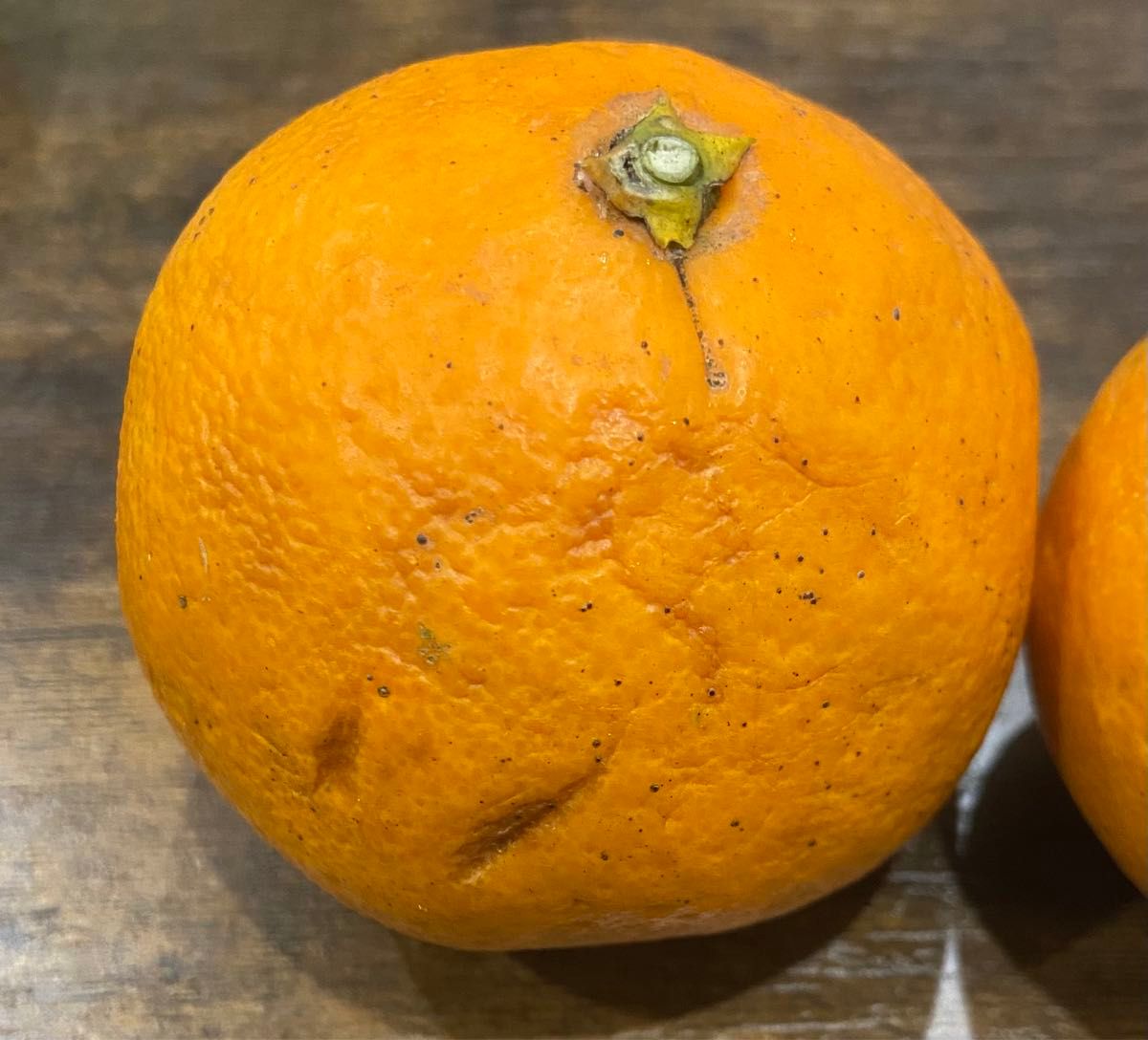 【和歌山産】 甘夏 10kg 訳あり　夏みかん　柑橘