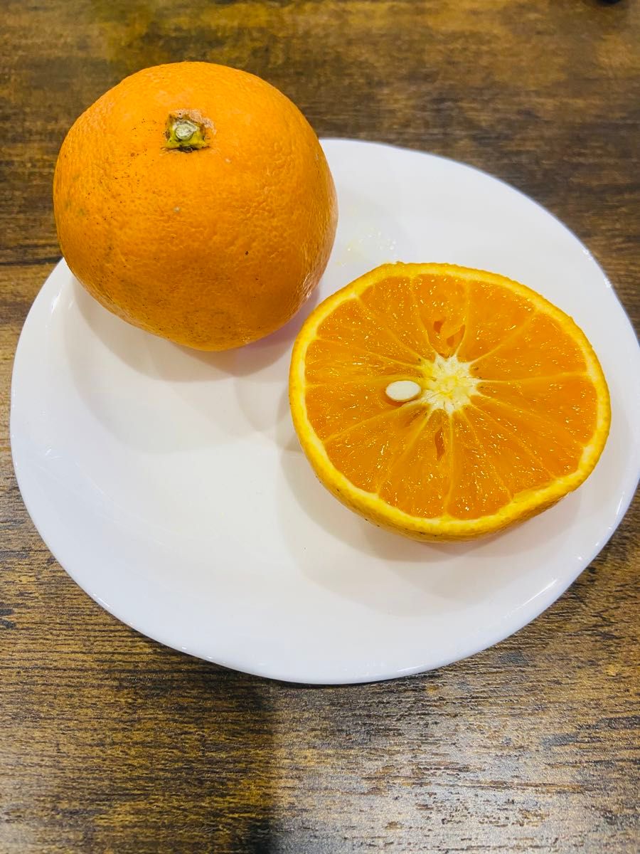和歌山産　清見 小玉10kg 訳あり  タンゴール　オレンジ　きよみ柑橘　みかん