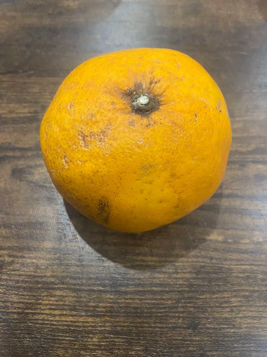 【和歌山産】 甘夏 10kg 訳あり　夏みかん　柑橘