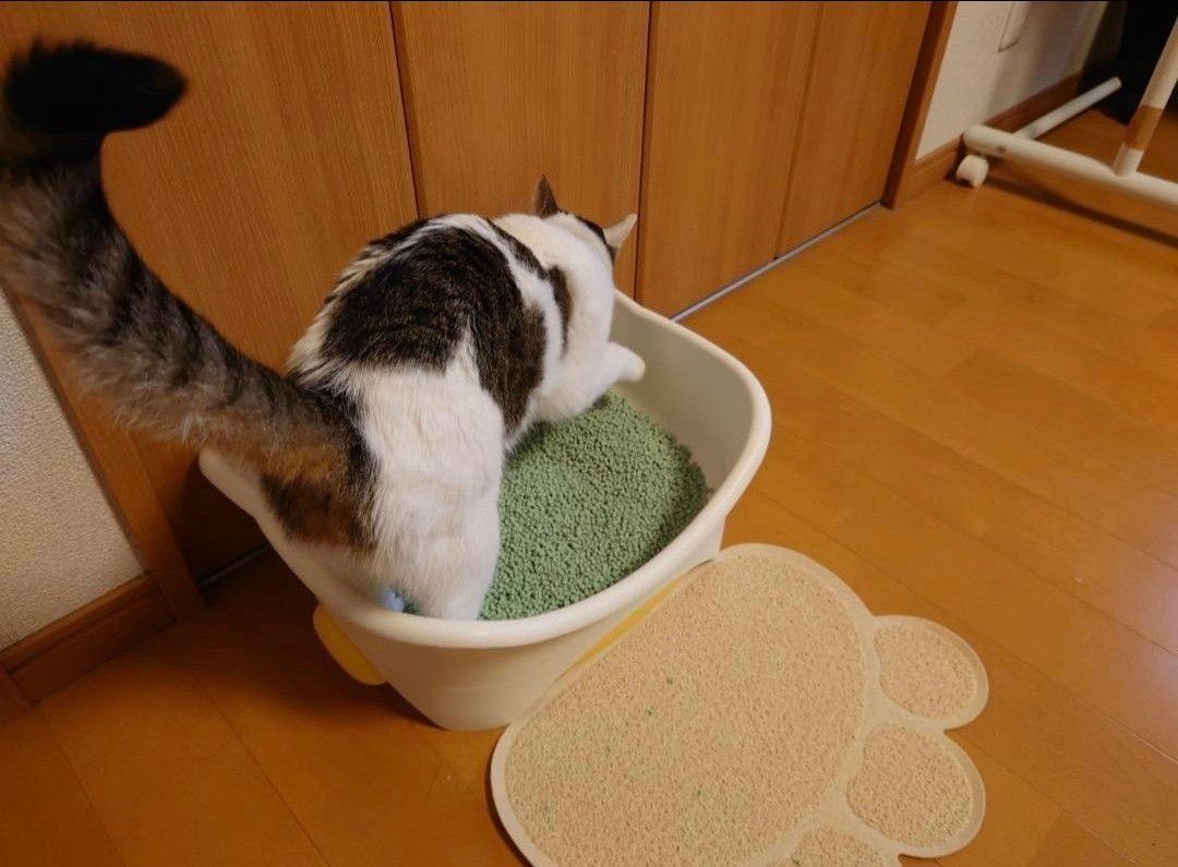 肉球型　猫用　トイレマット　ランチョンマット　飛び散り防止　カラー　ベージュ