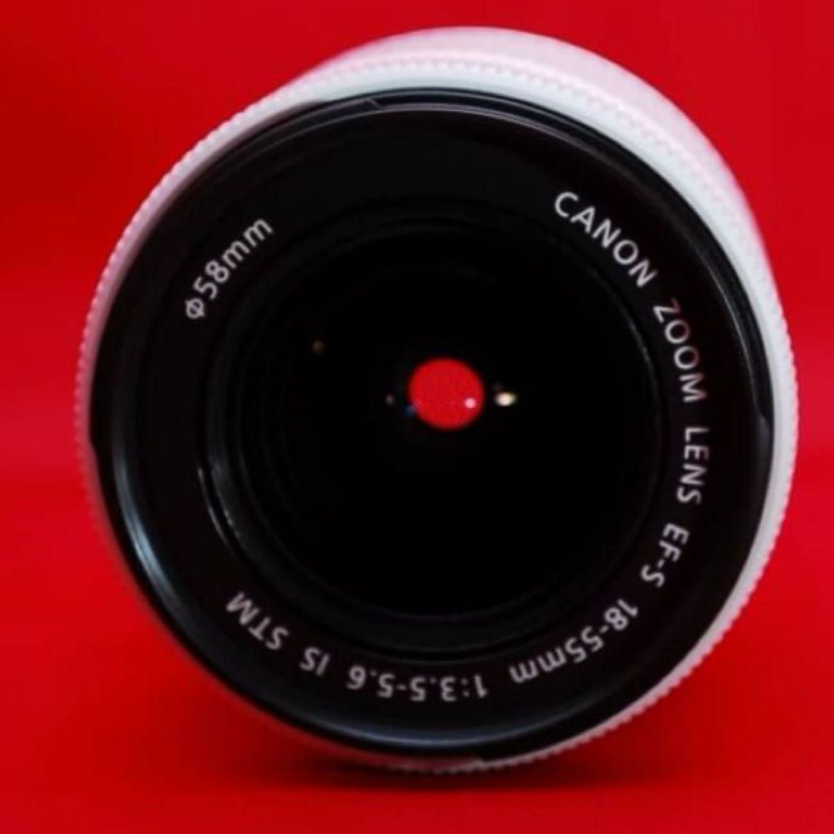 【レンズからオシャレに！】Canon lens EF-S f3.5-5.6 is STM 白ボディ　レアレンズ　限定1点