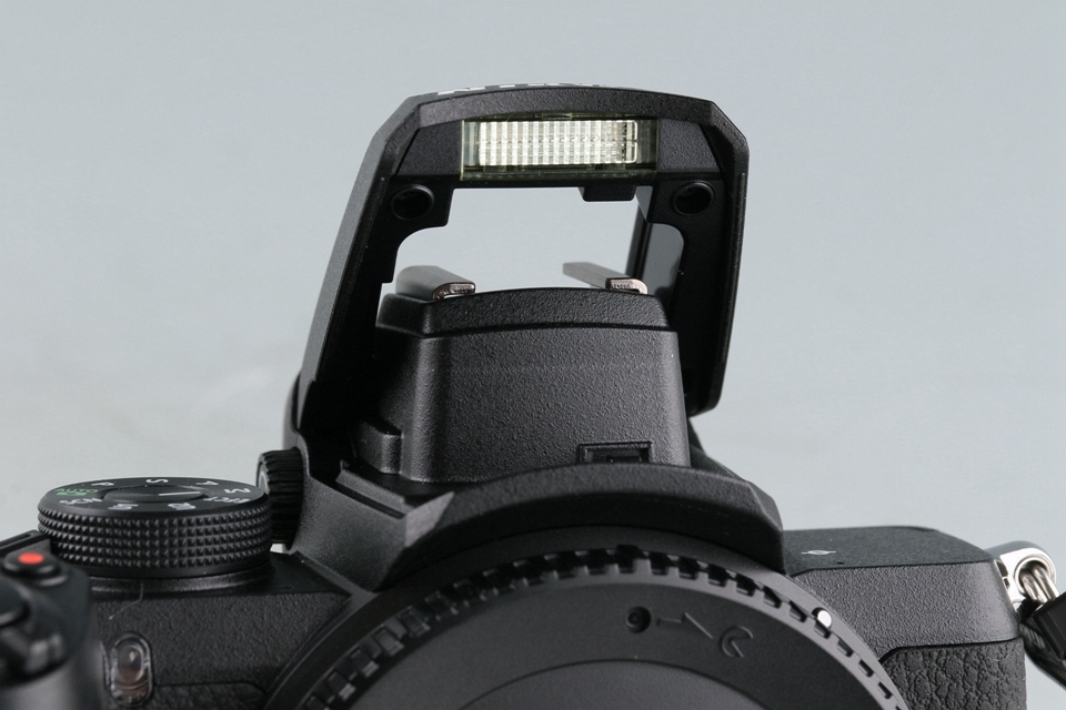 Nikon Z50 + Z DX 16-50mm F/3.5-6.3 VR Lens + Z DX 50-250mm F/4.5-6.3 VR Lens With Box #52723L5_画像7