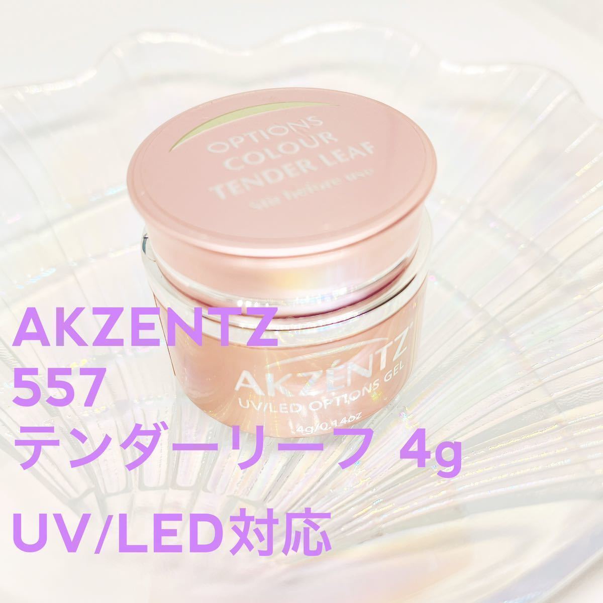 AKZENTZアクセンツ カラー【新品テンダーリーフ/4g】UV／LED_画像1