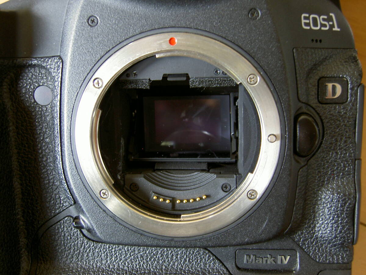 ☆CANON EOS-1D Mark IV ＆ EF 20-35mm F3.5-4.5 USM☆ジャンク品（水没）_画像6