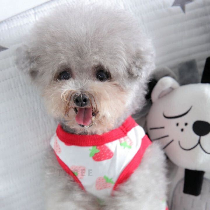 【大人気】犬服 ペット 小型犬 猫 タンクトップ 春夏 散歩 可愛い おしゃれ いちご柄 Mサイズの画像5