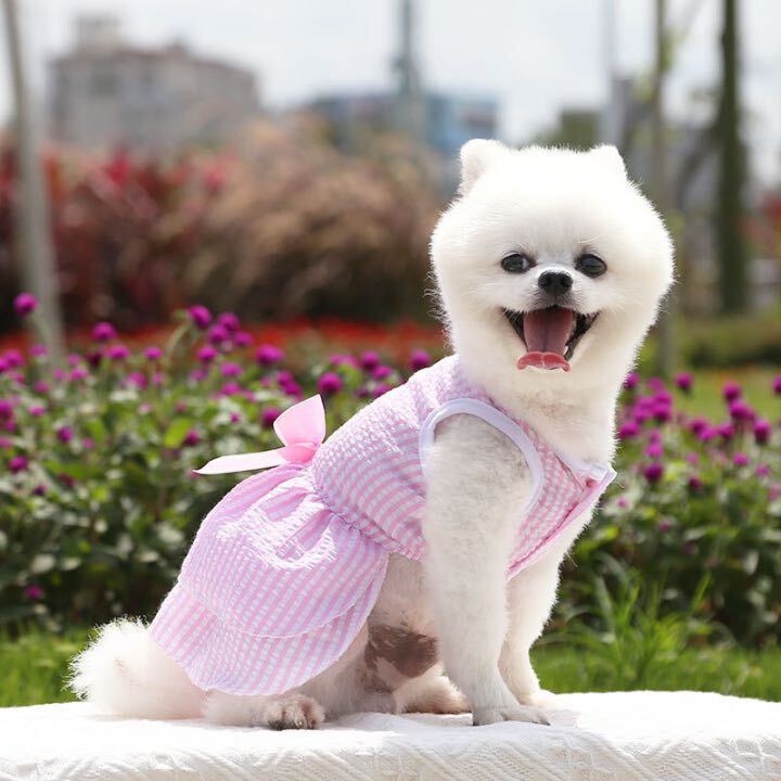 【お姫様】犬服　ペットワンピース　ドレス　犬　猫　蝶結び　おしゃれ　散歩　ピンク　Lサイズ