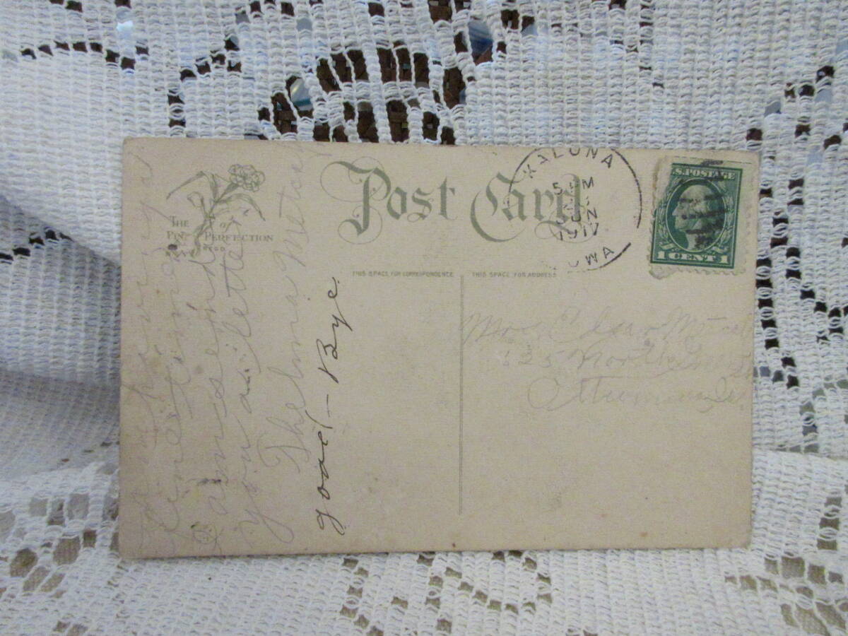 アンティーク 絵葉書 ポストカード カーネーション ヒューゴーの名言 母 愛 モノクロ アメリカ切手1917年の画像2