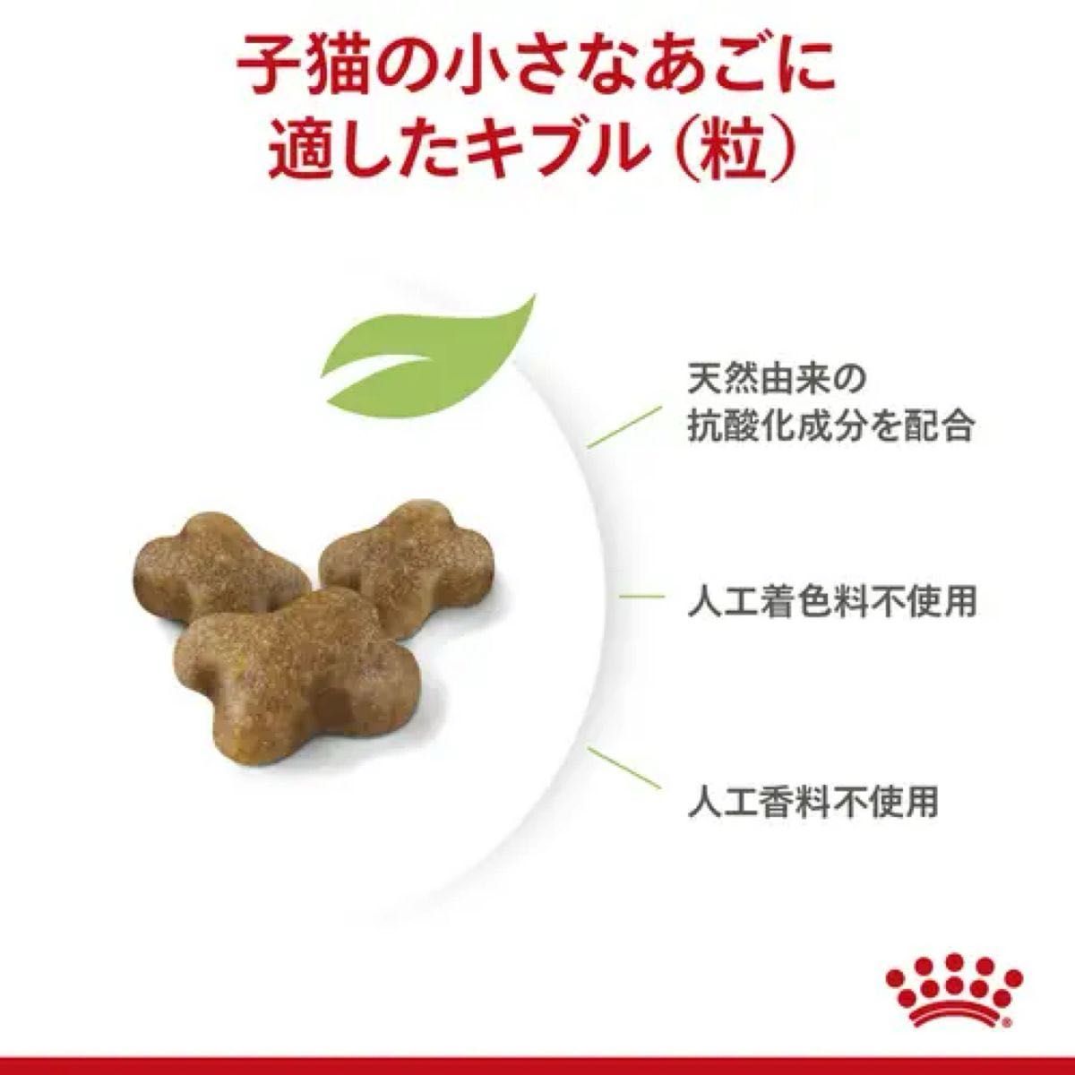 【新品】ロイヤルカナン　猫　キトン　成長後期の子猫用　12ヵ月まで　2kg 2袋