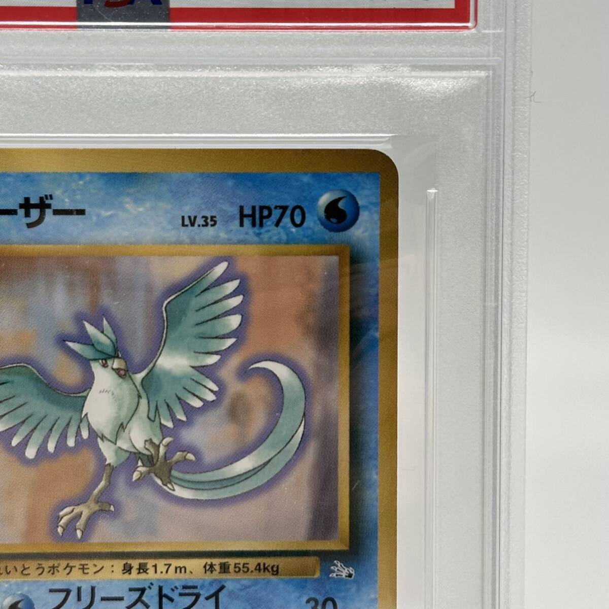 Bibian 比比昂 - 【PSA10】 フリーザー プロモ トロピカルメガ Bibian 比比昂 - 【PSA10】 フリーザー プロモ トロピカルメガ