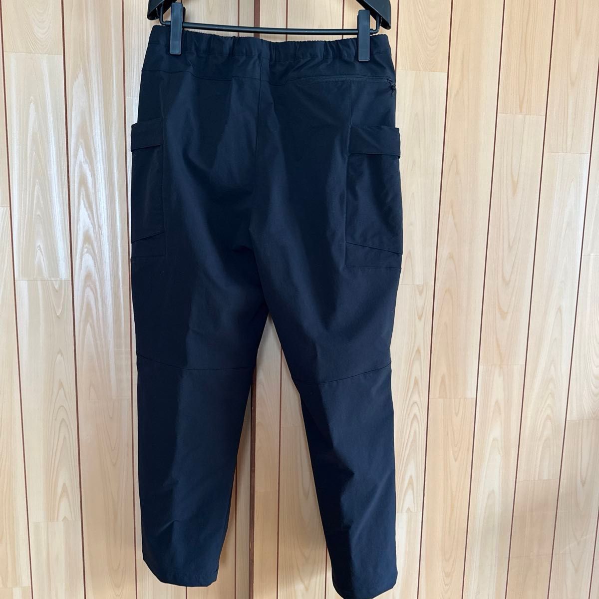 THE NORTH FACE◆CLASS V FIELD PANT_クラスファイブフィールドパンツ/L/ナイロン/BLK