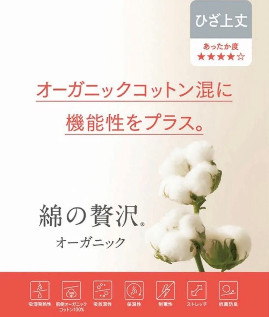 《ひざ上丈/Lサイズ》綿の贅沢 オーガニックコットン混 インナー ワコール ウィング