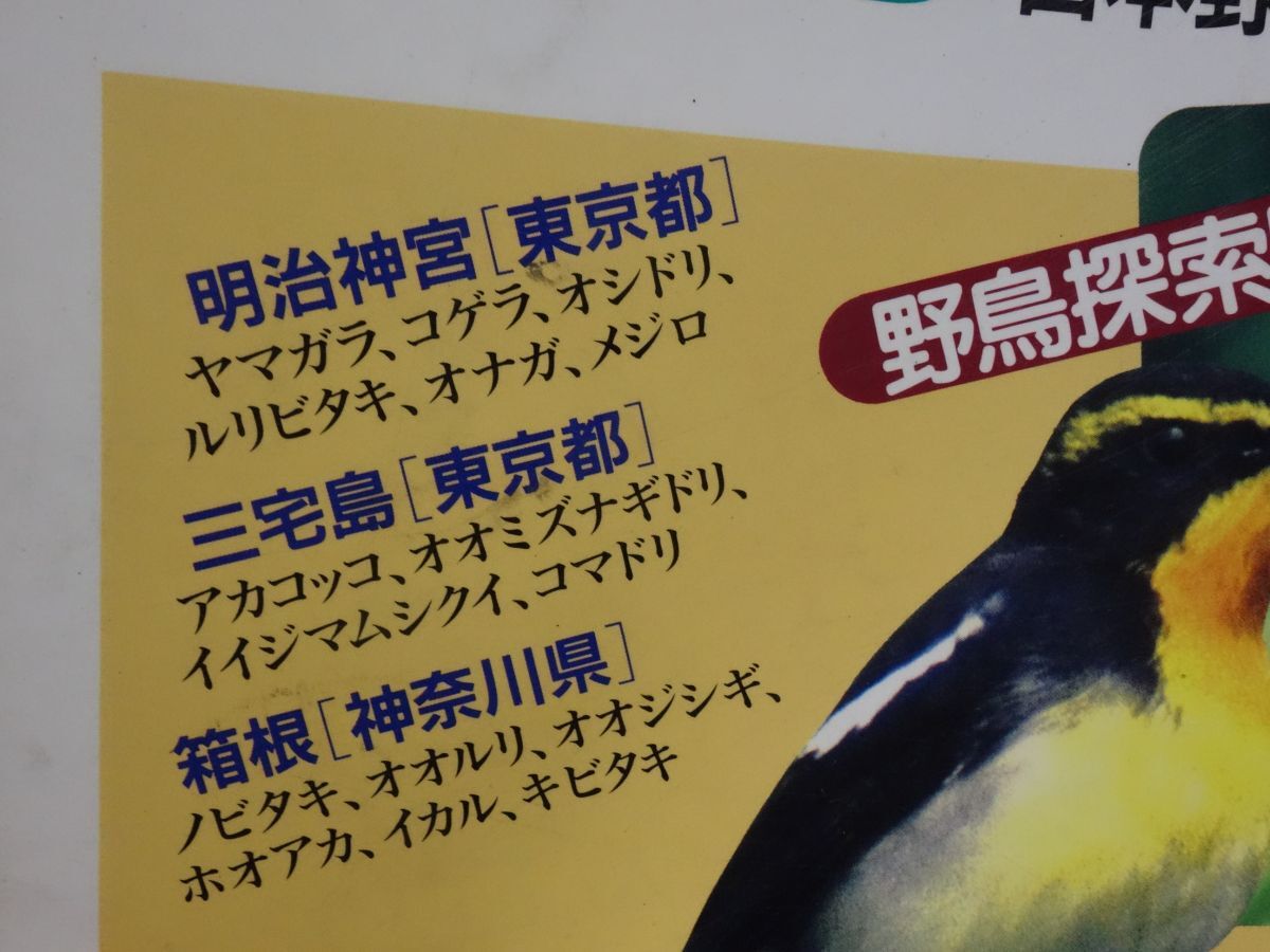 １１１『日本列島野鳥ｍａｐｓ　首都圏の野鳥』平成５　書き込みあり_画像3