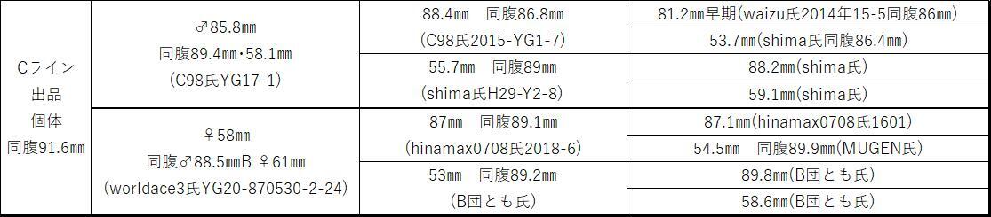 オオクワガタ（能勢ＹＧ）♂８２．５mmの画像4