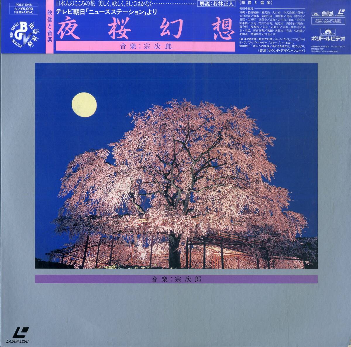 B00169824/LD/宗次郎「夜桜幻想」の画像1