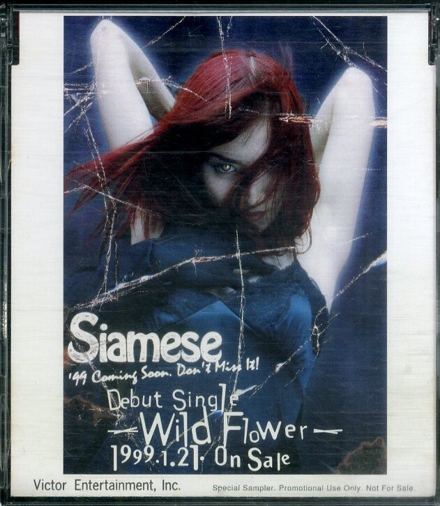 D00142266/CDS/SIAMESE (サイアミーズ・白瀧康太・YOKO)「Wild Flower (1998年・CDES-365)」の画像1