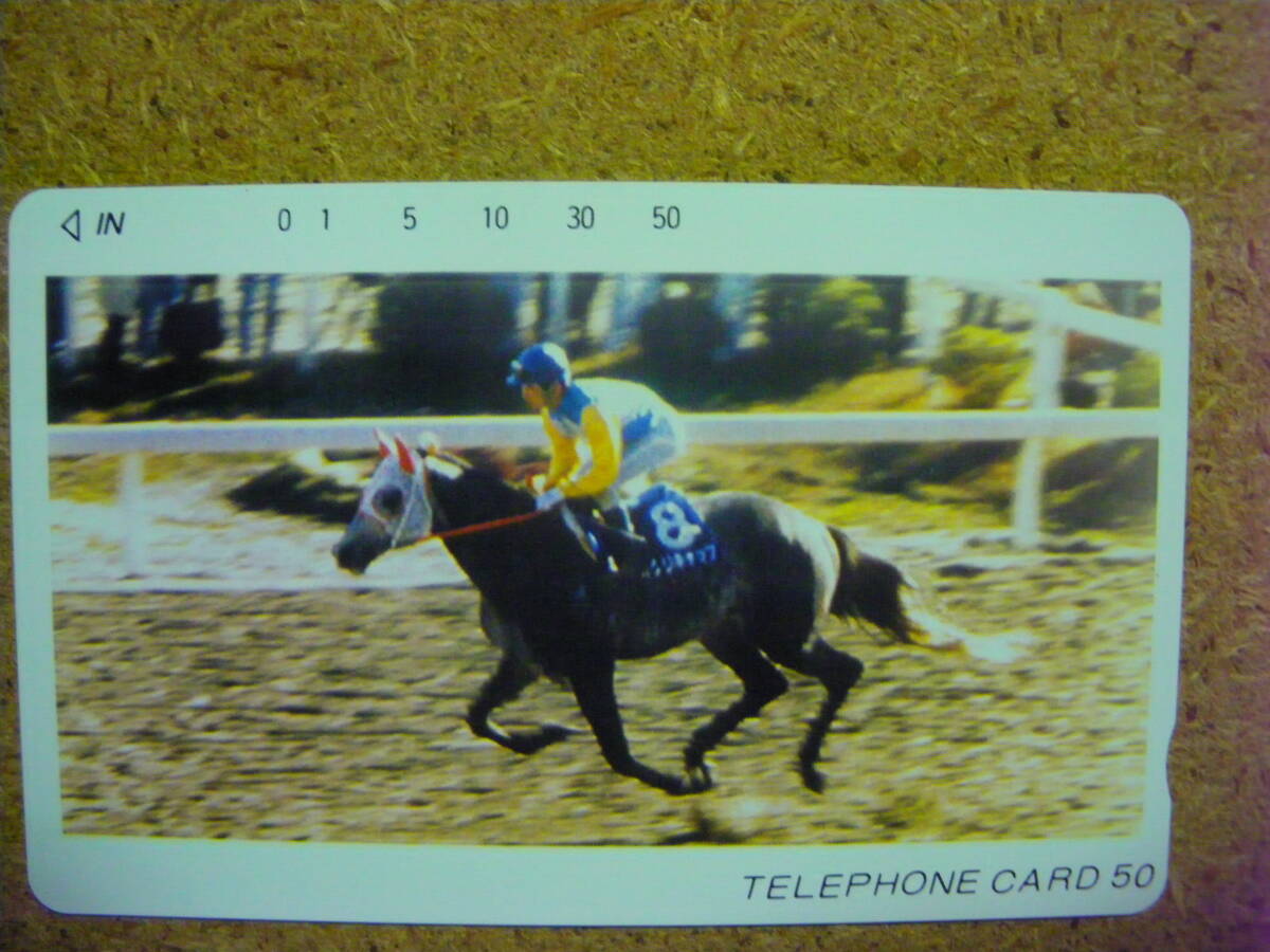 I473c*o Gris cap horse racing unused 50 frequency TCP telephone card 