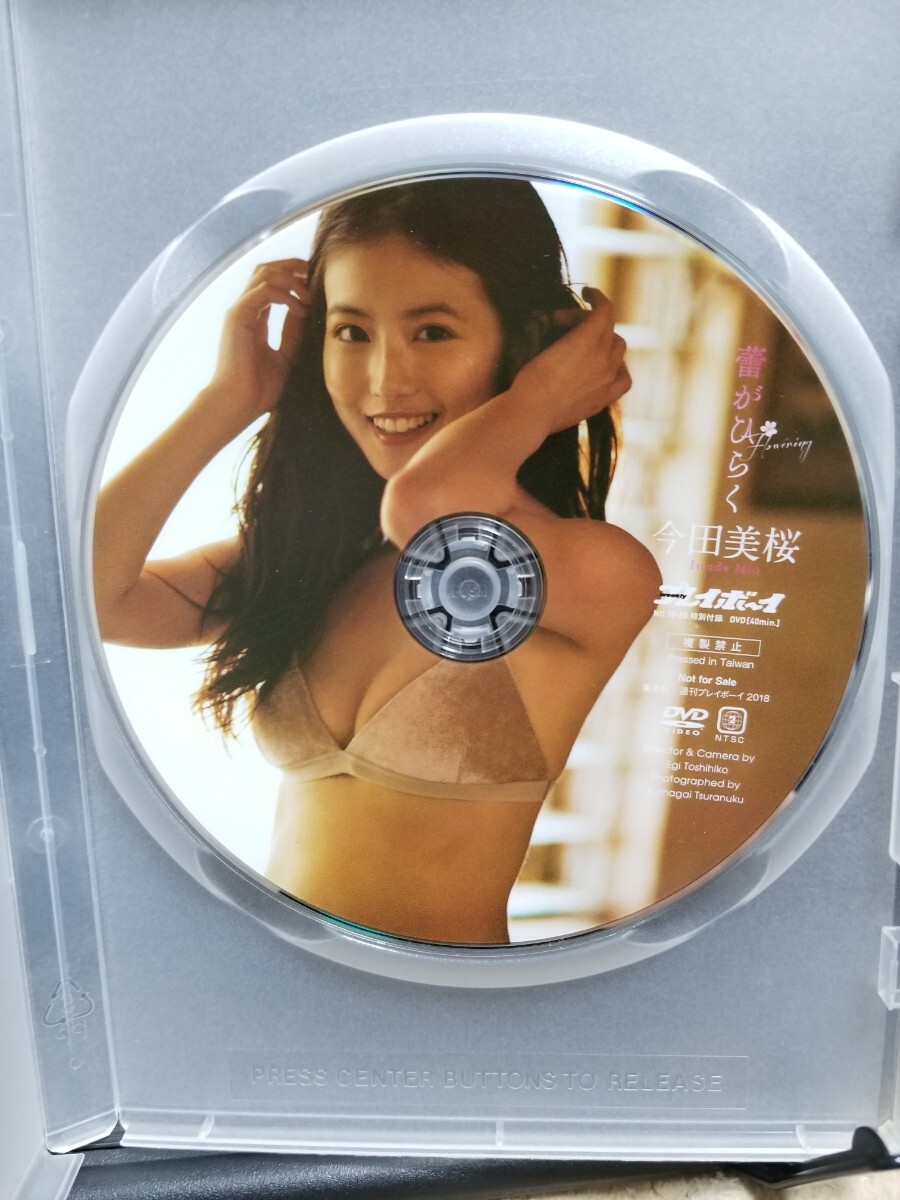 今田美桜 Re 生命力 DVDの画像1