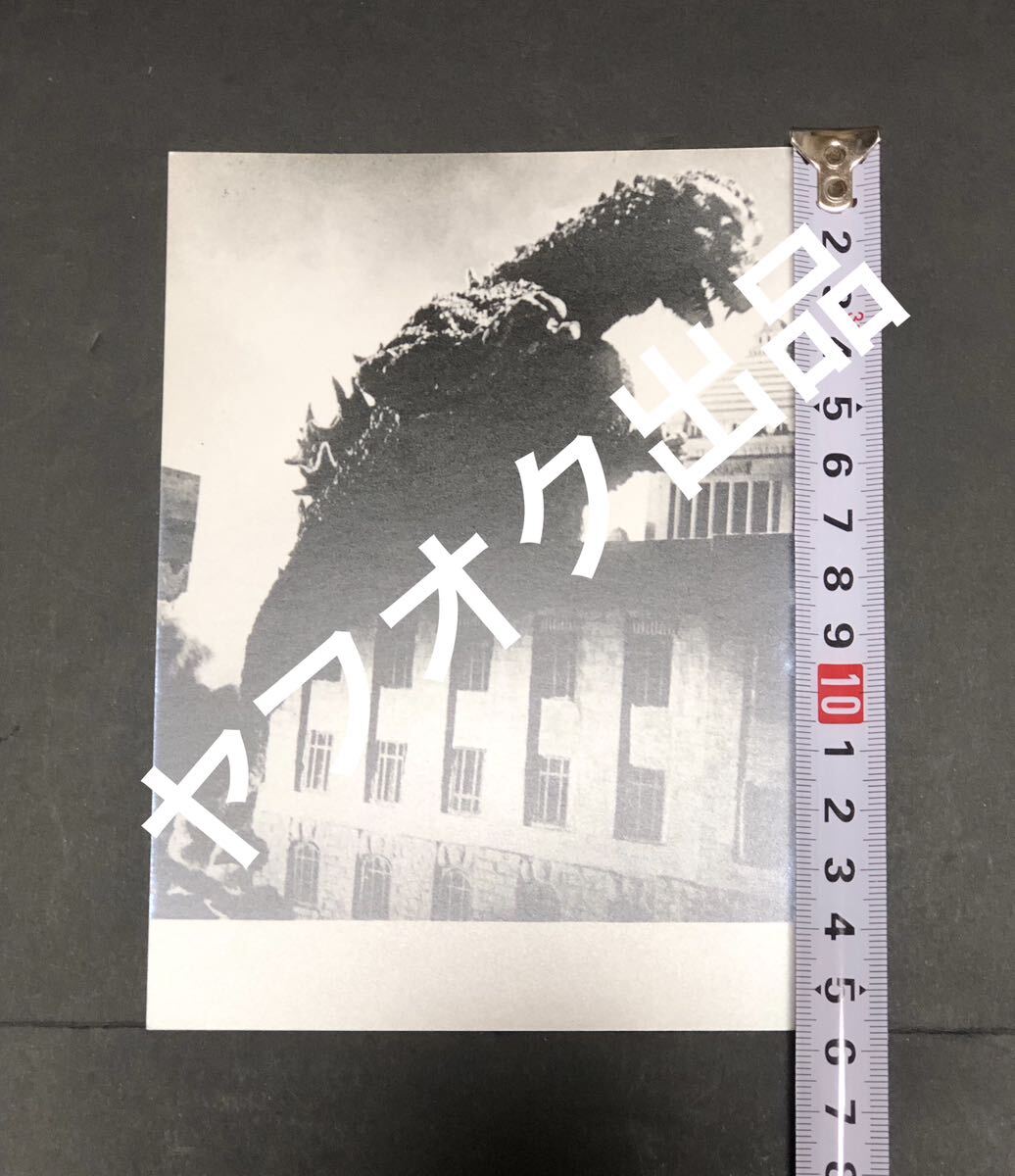 貴重◆映画 ゴジラ GODZILLA 1984年 橋本組 集合写真 合成前 セット 生写真 合計11枚 資料 橋本幸治 中野昭慶の画像4