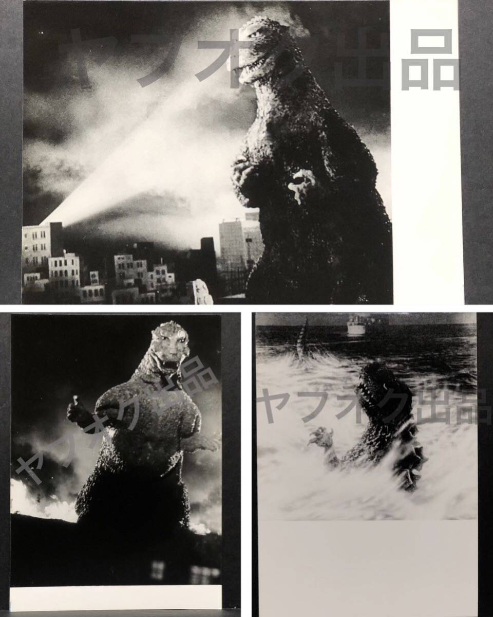 貴重◆映画 ゴジラ GODZILLA 1984年 橋本組 集合写真 合成前 セット 生写真 合計11枚 資料 橋本幸治 中野昭慶の画像6