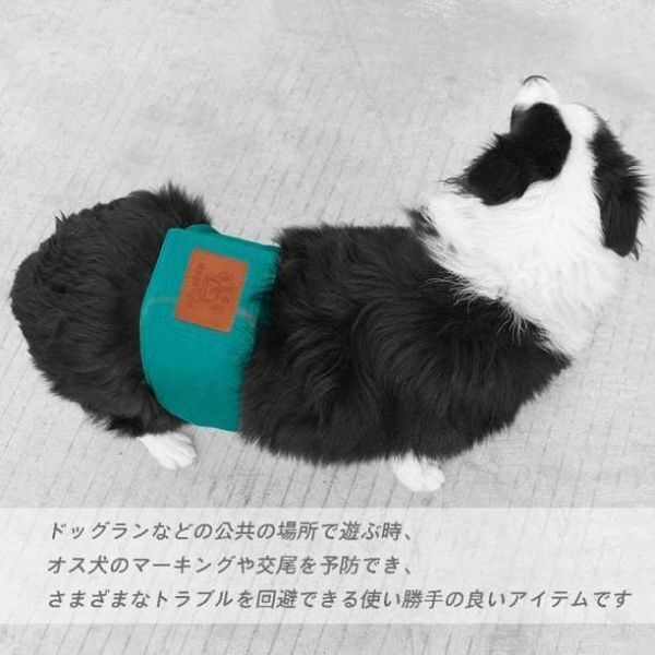 ①2枚セット 犬用 マナーベルト (80) マナーバンドオムツカバー ドッグウエア トイレ 2の画像6