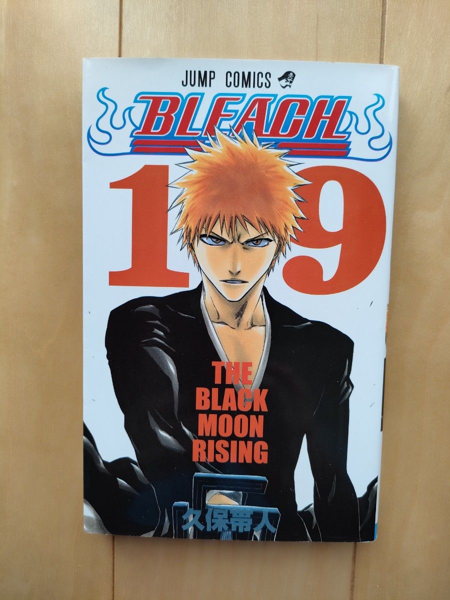 BLEACH    ブリーチ  19