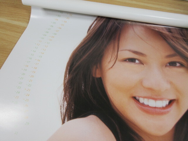 2A1-5「香里奈 2004 カレンダー」B2サイズ 7枚組 モデル 女優 現状品 写真 壁掛けカレンダーの画像7