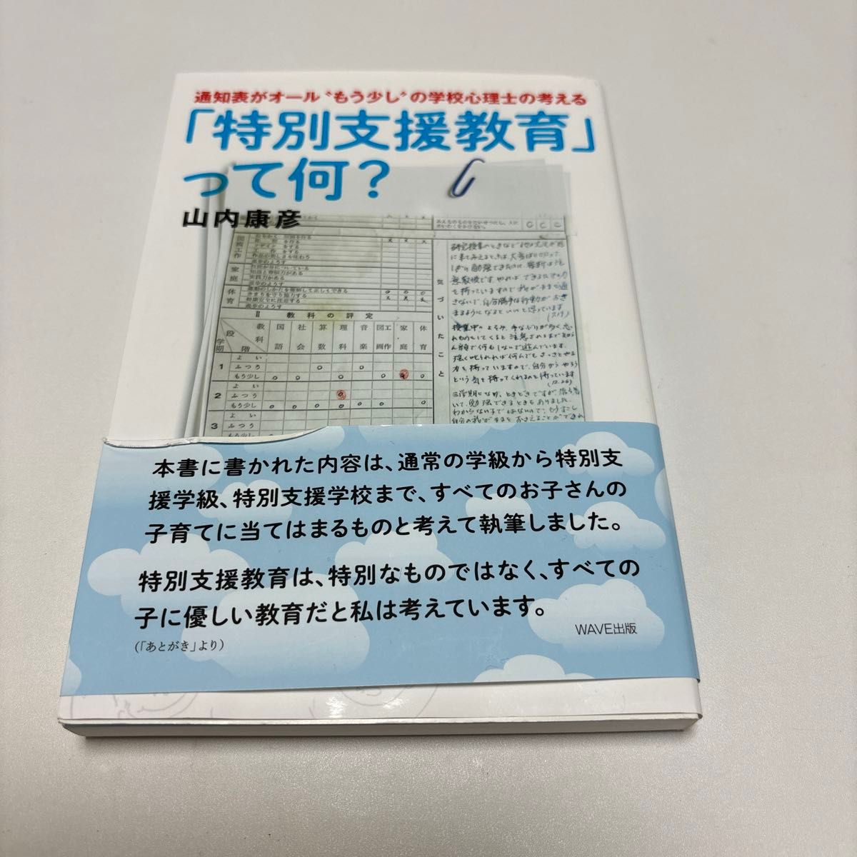 「特別支援教育」って何？　通知表がオール“もう少し”の学校心理士の考える 山内康彦／著