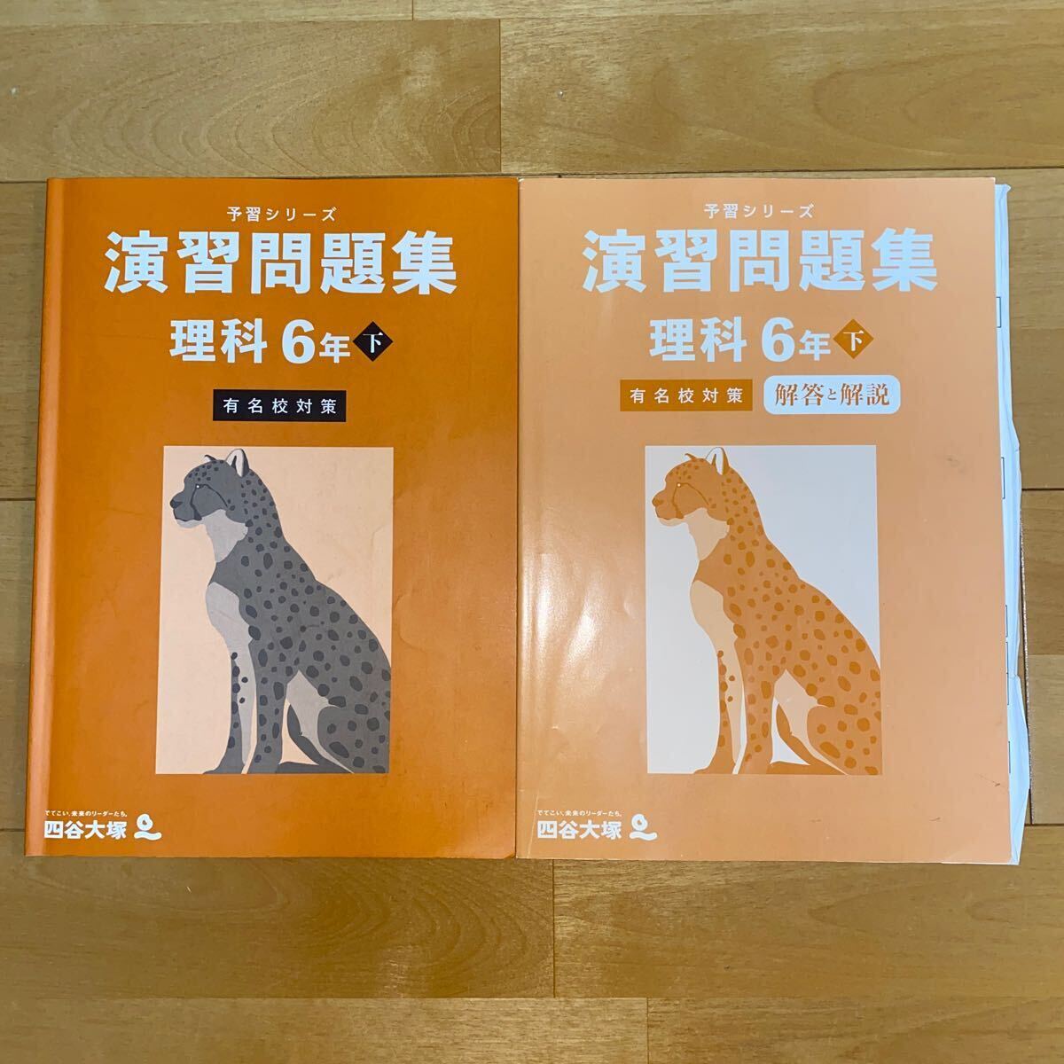 予習シリーズ 演習問題集 6年 下 有名校対策 国語 算数 理科 社会 テキスト 解答解説 セット 四谷大塚 中学受験_画像4