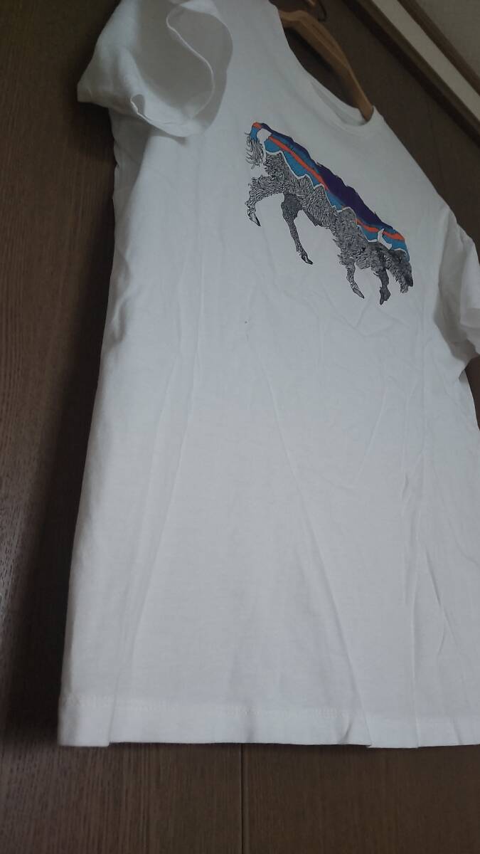 【売切り】パタゴニア フィッツロイ・バイソン・オーガニックコットン・Tシャツ メンズS 白 美品 格安出品の画像3