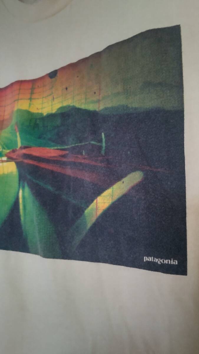 【売切り】パタゴニア　オーガニックコットン・Tシャツ　メンズLスリムフィット　人気廃版モデル　格安出品_画像5