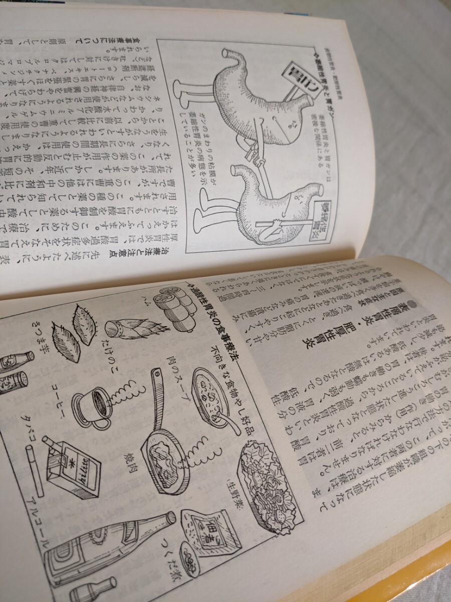 よくわかる胃腸病の治し方　医学博士　北沢英雄　有紀書房_画像8