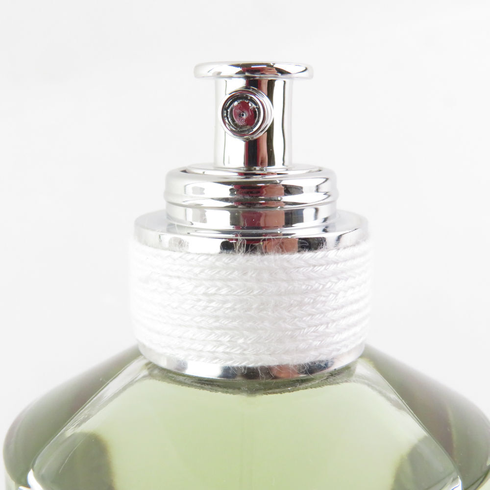 1円 未使用 美品 Maison Margiela メゾンマルジェラ レプリカ フロムザガーデン 香水 100ml オーフドトワレ EDT BO6910AJの画像6