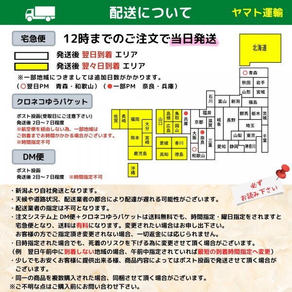 だるまメダカ 業務用10匹【紅帝半ダルマ～ダルマ】【WGA】めだか だるま ダルマメダカ 半ダルマ 目高 生体 餌用 紅帝 楊貴妃 紅帝楊貴妃_画像7